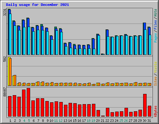 Daily usage for December 2021