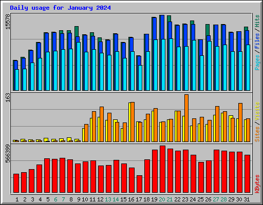 Daily usage for January 2024