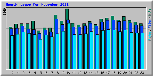 Hourly usage for November 2021