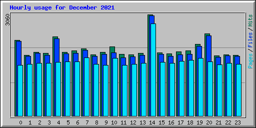 Hourly usage for December 2021