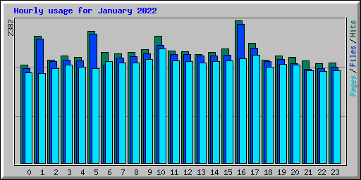 Hourly usage for January 2022