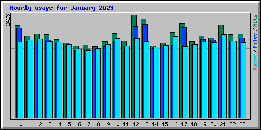 Hourly usage for January 2023