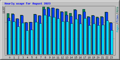 Hourly usage for August 2023