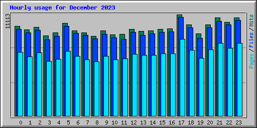 Hourly usage for December 2023