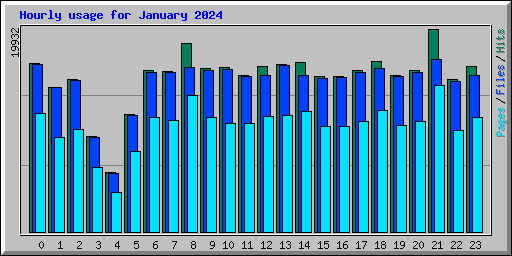 Hourly usage for January 2024